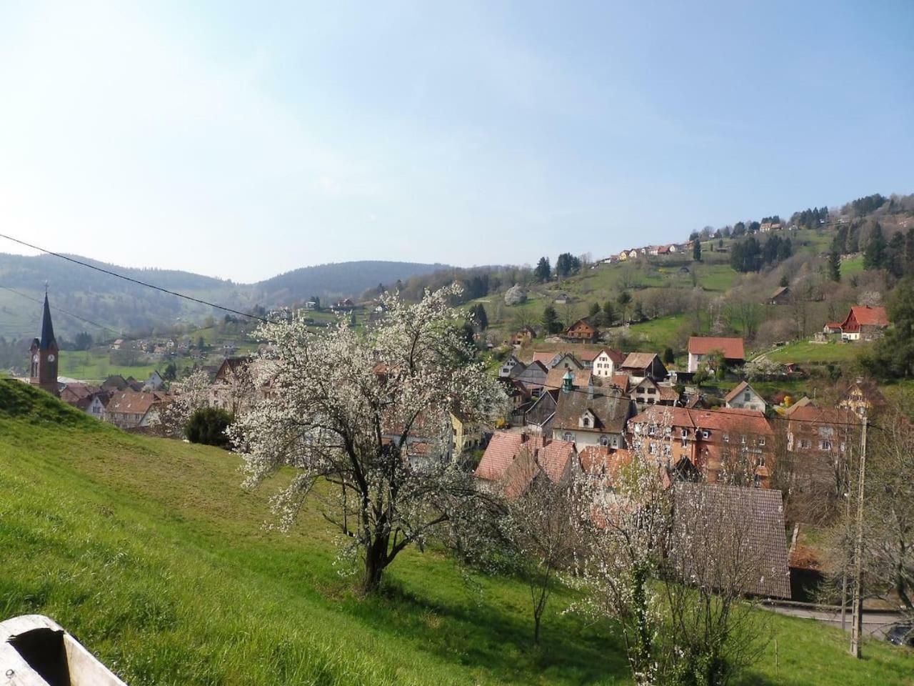 Le Chalet Du Tanet Spa Sauna Terrasse En Alsace Soultzeren Eksteriør billede
